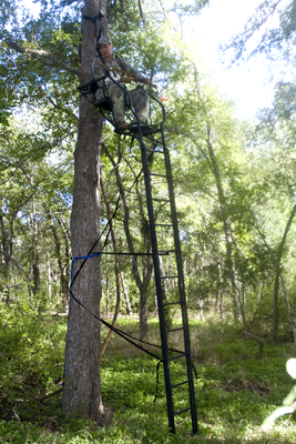 hunter in tree blind