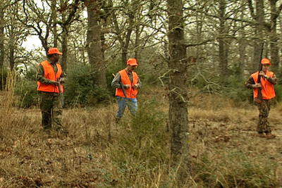 hunters walking in woods