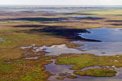 aerial shot of coastal wetlands