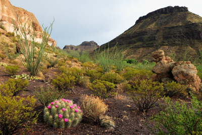 Big Bend Ranch State Park