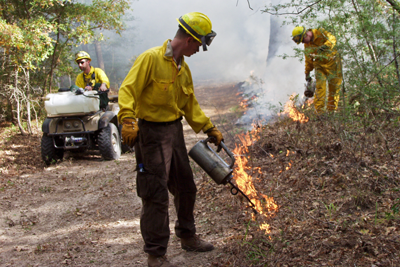 Prescribed burn at Bastrop State Park