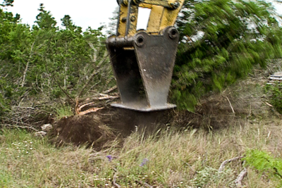 Clearing brush