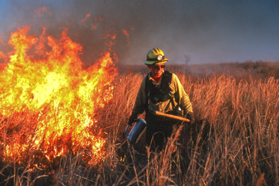 Prescribed burn