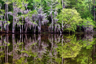 Caddo Lake