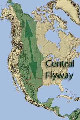 Central Flyway Map