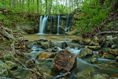creek and falls in the Pineywoods