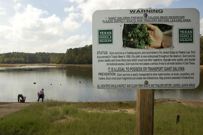 Sign at lake warning of Giant Salvinia