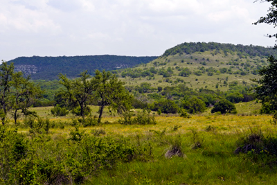 Hills of Bamberger Ranch Preserve