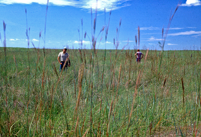 biolgists surveying prairie