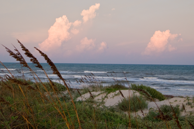 beach and dunes at Padre Island