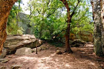 Rocky woodland