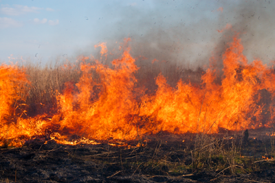 Controlled burn