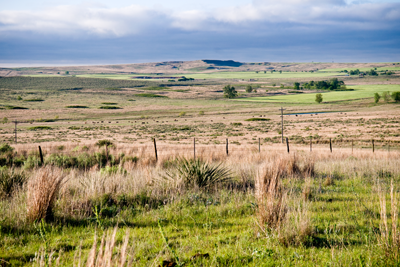 plains ecoregions ecorregiones tpwd rodantes llanuras paisaje