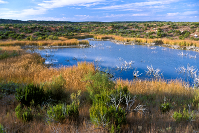 Plains wetland at Copper Breaks