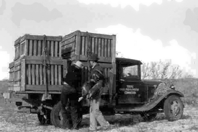 TX Fish and Game truck in the 1950's