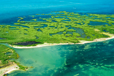 Texas Coastal Marsh