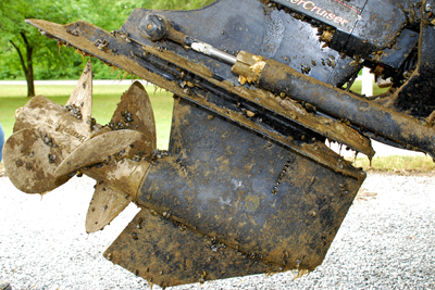 Zebra mussels on boat motor