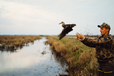 Release of mottled duck