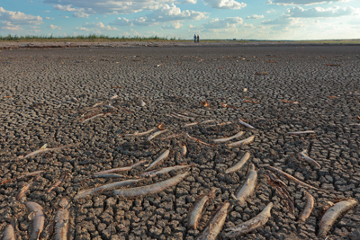 Dired up lake bed