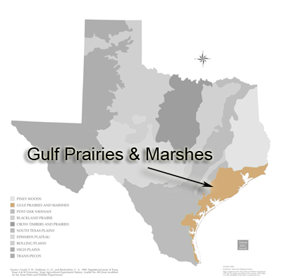 Map of Gulf prairies and marshes
