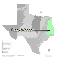 Map of Pineywoods