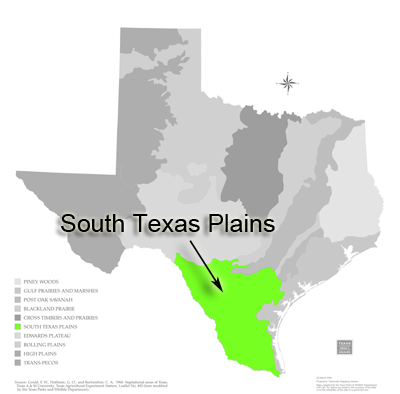 Map of South Texas Plains