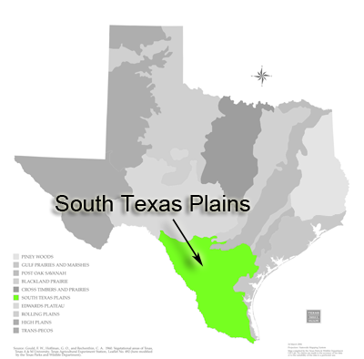 SOUTH TEXAS PLAINS REGION: LAREDO TEXAS MAP