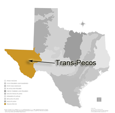 Map of Trans-Pecos