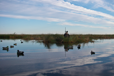 Hunter in wetland