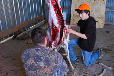 Youth hunter and adult butcher deer