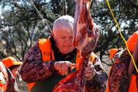 Hunter butchering harvested deer