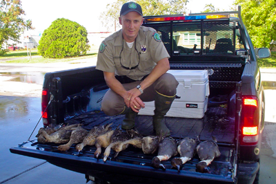 Game Warden with confiscated waterfowl that were taken illegally