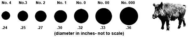 Buckshot sizes