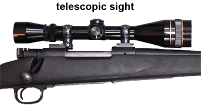 The telescopic sight is the most accurate of all sights and therefore the best choice for most hunting.