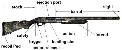 Labeled image of shotgun parts