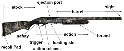 Parts of a Shotgun