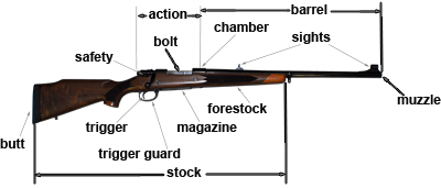 Rifle Basics: Identifying parts and functions