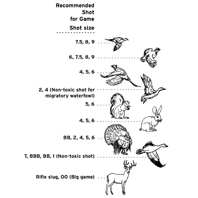 Corrected shot for game