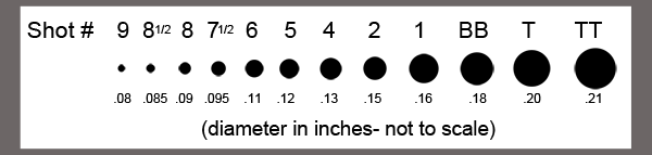 shot-size-chart