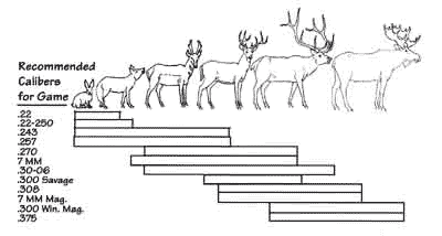 Rifle Calibers for Game