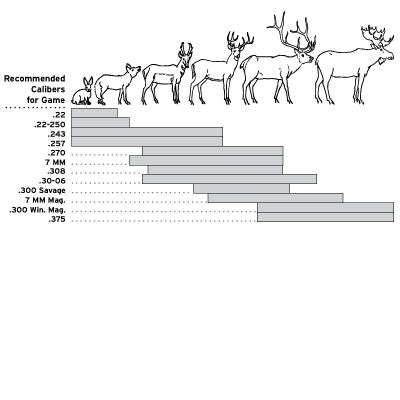 Caliber Chart For Animals