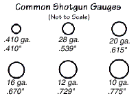 Common Shotgun Gauges