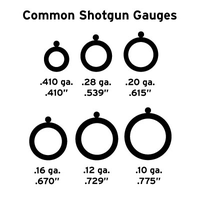 Common Shotgun Gauges