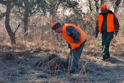 Hunters following blood trail