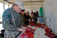 several hunters processing deer