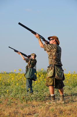 Dove hunters aiming at birds