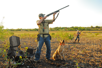 hunter taking aim at dove in flight