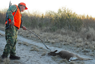 Hunter poking downed deer with a stick