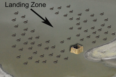 diagram of decoy placement highlighting landing zone