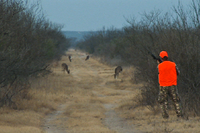 Hunter stalking deer